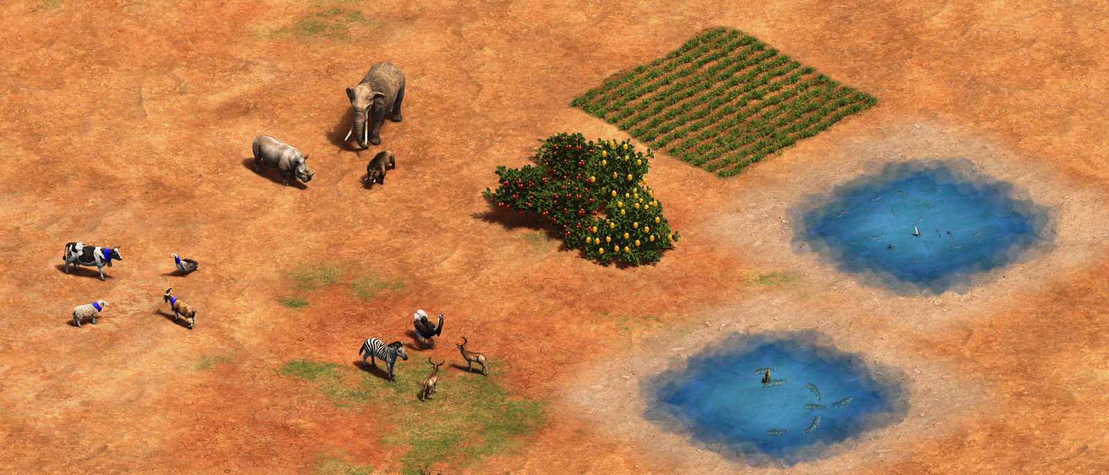 Collecting Food map image